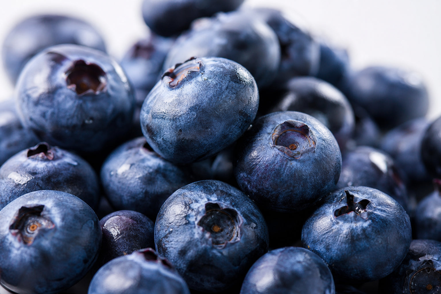 Bilberry extract