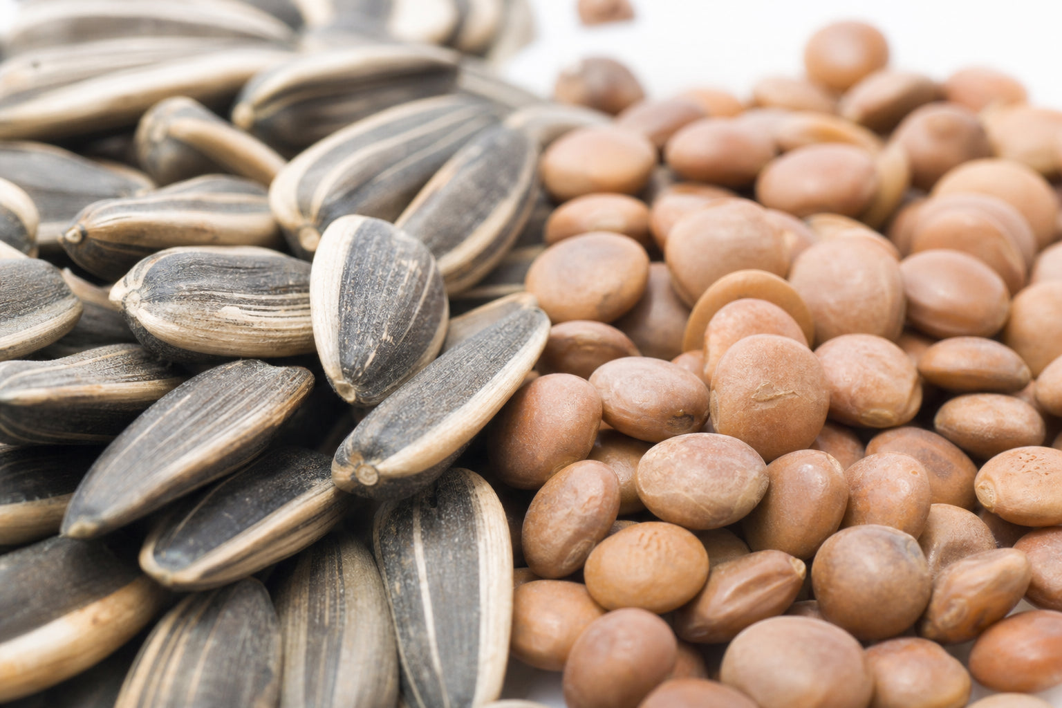Vitamin B1 (thiamine)